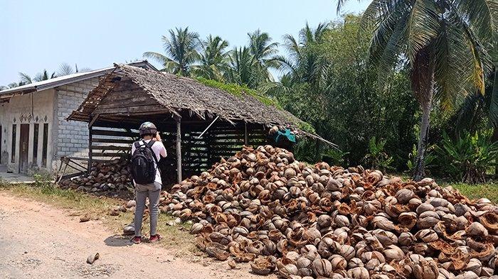 sarana-pengolahan-kelapa-milik-warga-di-kabupaten-mempawah