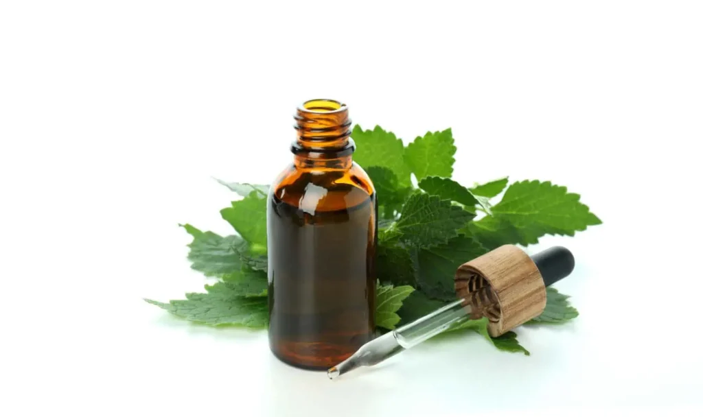 Patchouli Oil